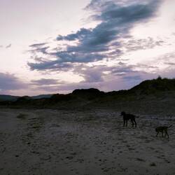 Strandspaziergang zum Sonnenuntergang