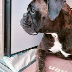 Ganz trauen wir ihm nicht