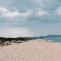 Umzug zum Frühstück - Arbeit ist not amused - atmen
