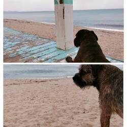 Schauer in einem der verlassen Strandbuden ausgesessen