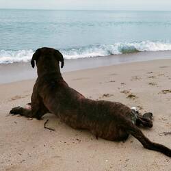 Wetter besser als angesagt