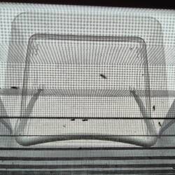 Sandfly - Alarm 😳