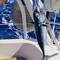 And voilà, our first catch, a bonito!!!