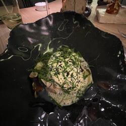 Shellfish and Mushroom 'ragoût' and Hollandaise