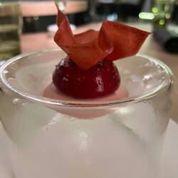 Palate cleanser before dessert