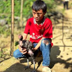 Junge mit seinem Kampfhahn