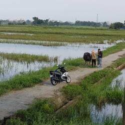 auf dem Weg nach Hoi An