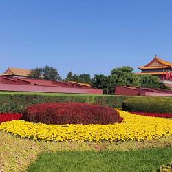 Die Blumen sind eingepflanzt.