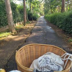 Mit dem Fahrrad auf dem Weg zum Tempel.
