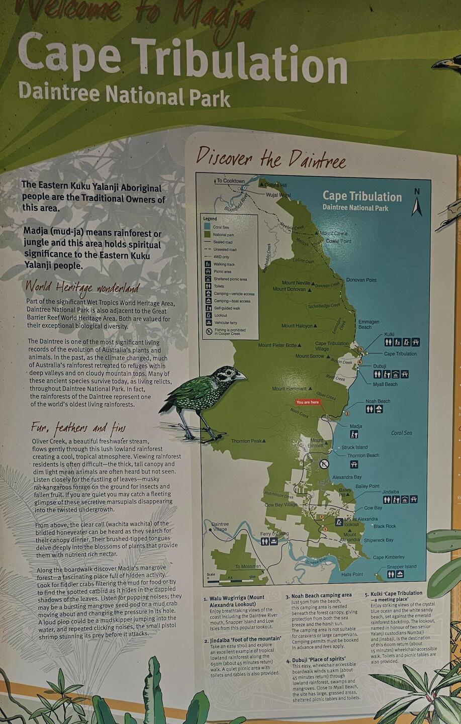 Cape Trib map: we stopped at the majority of beaches and walks.