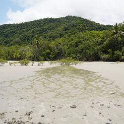 Watery evidence of the tidal path