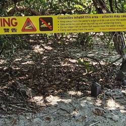 Croc signs at every beach