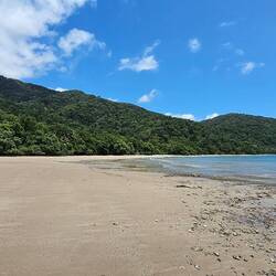 Beautiful beaches. Notice no one's swimming. 🐊