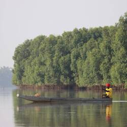 Am frühen Morgen auf dem Gambia-Fluss