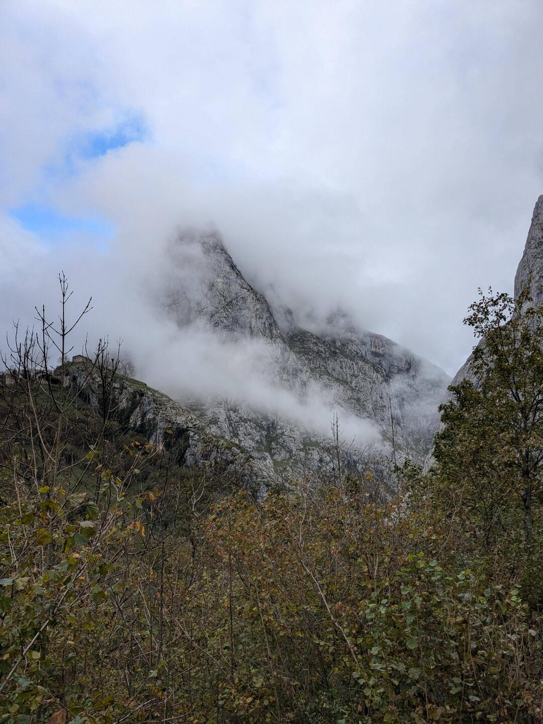 Bulnes