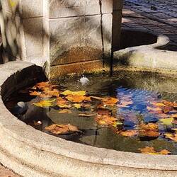 Fountains are everywhere.