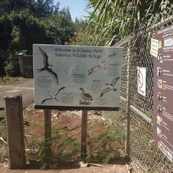 wo es div. Vogelarten zu sehen gibt