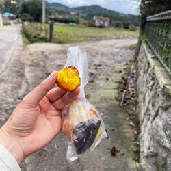 Best coconut macaroon ever