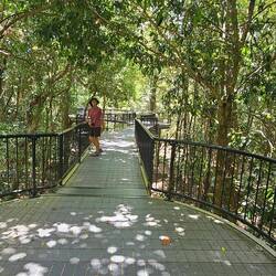 Entrance to Mossman Gorge trail