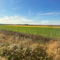 Countryside on the way up to Paris
