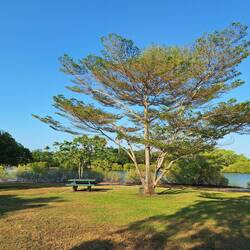 ....hier wurde ich tatsächlich von Vögeln angegriffen...🫣