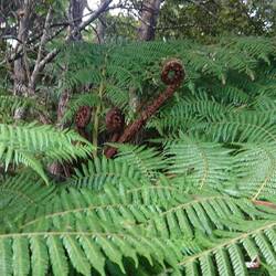 .... und noch einer😊