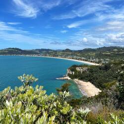 Lonely Bay und Cooks Beach vom Shakespeare Cliff