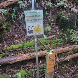 Auf einem Abschnitt gab es alle paar hundert Meter stationäre Lärmbelästigung