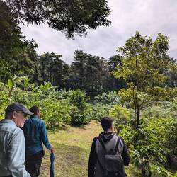 Touring a coffee farm