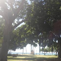 Wiese beim Queens Beach