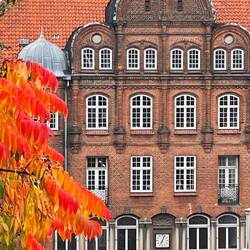 Building across the road from our building