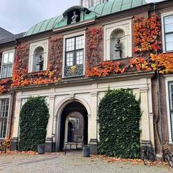 Fab leaves on a beautiful building