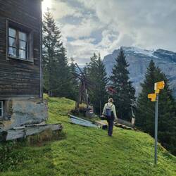 Alp Obere Ziebeln auf 1631m