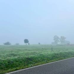 Foggy walking conditions