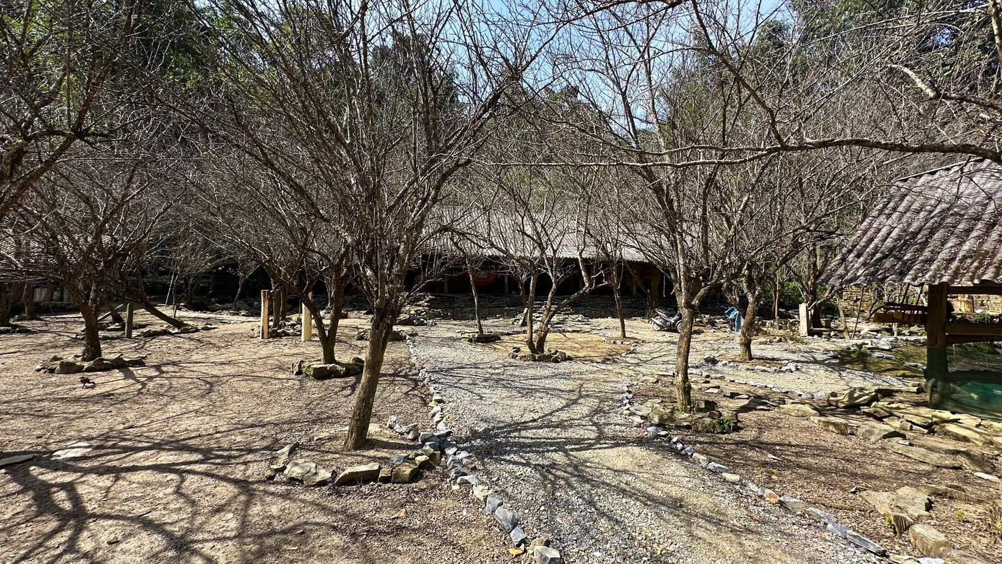 Der Pflaumengarten und hinten das Haus