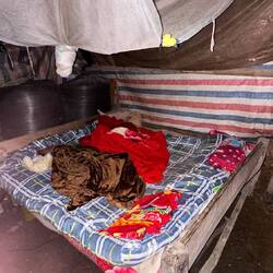 Hier schlafen er, seine Frau und seine zwei Buben in einem Bett