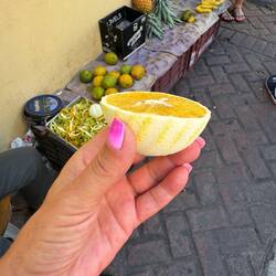 Karibische "Leckmuschel" 🤪