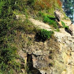 Geier! Es waren nicht die letzten, die wir gesehen haben!