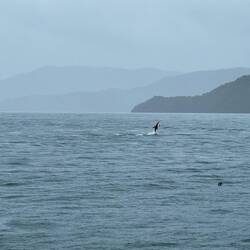 Auch da draussen: Egal ob Wind oder Regen, der Spass bleibt🐬