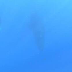 Hier das Baby und im Hintergrund die Mutter (am Anfang)