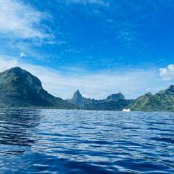 Ein letzter Blick auf das malerische Moorea bei meiner letzten Waltour