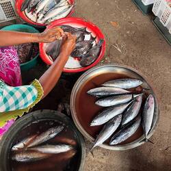 Besonders unappetitlich fanden wir jedes Mal, wie Fisch oder auch Fleisch verkauft wird, ohne Kühlun