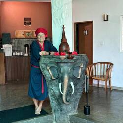 Cooler Elefant