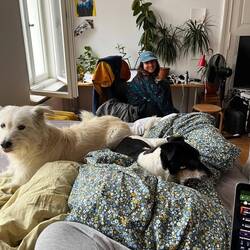 Hundies besuchen Tom in Berlin derweil John und Nita hoponon Hop aufmachen