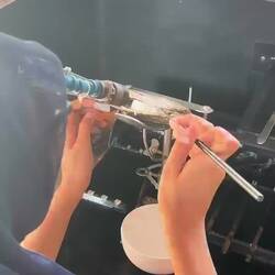 Perle nach 4 Jahren Zucht