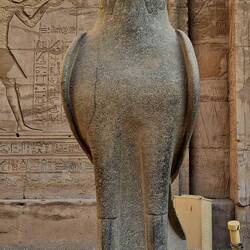 Horus kolossaler Falke und Gott dieses Tempels