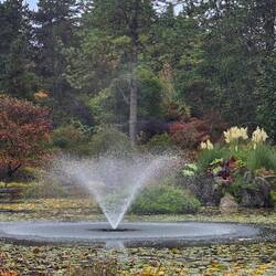 Van dusen fountain