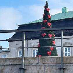 Christmas Tree outside Christiansborg Palace