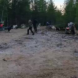 Die ersten Teams fahren am Checkpoint los😃