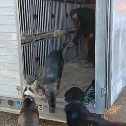 Los gehts zum Training